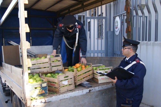 Noto, furto di limoni: arrestati due uomini