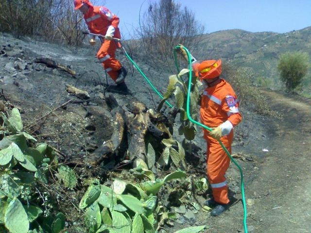 Stato di agitazione dei lavoratori forestali della provincia di Siracusa