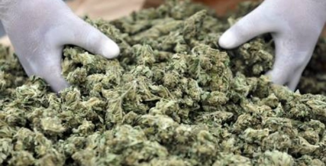 Roma, 62 kg di marijuana in garage: un arresto da polizia