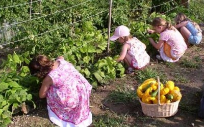 Nonni e genitori insieme agli alunni all'Istituto "Falcone-Borsellino" per un orto didattico