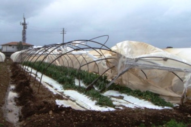 Nevicata 2014, agricoltori non ancora risarciti dei danni subiti