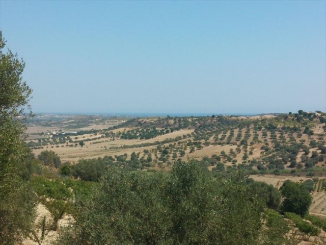 Rosolini tra i "Comuni custodi della Macchia Mediterranea"