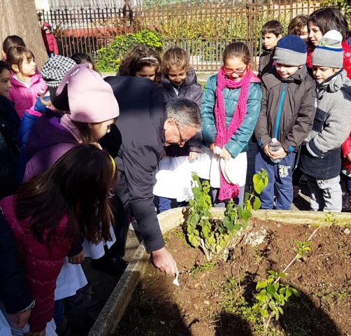 Canicattini ha celebrato la "Festa dell'albero"