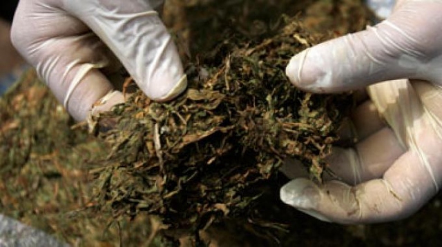 Noto, denunciato 37enne per spaccio di marijuana