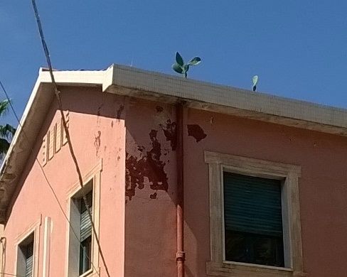 Save Villa Reimann denunica: "Abbandono e mancanza di vigilanza"