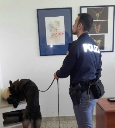 Siracusa, controlli antidroga nelle scuole: trovati in totale circa 7 grammi di marijuana