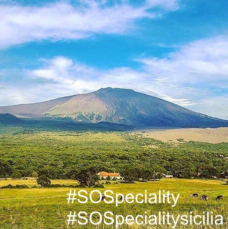 #Sospeciality: le immagini che raccontano gli agrumi di Sicilia