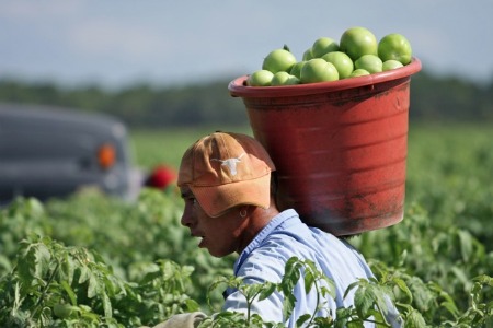 "I nuovi schiavi delle campagne", esecutivo Uila Uil a Siracusa