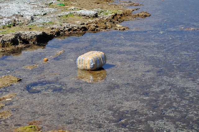 Augusta, 400 chili di marijuana trovata in mare: avrebbe fruttato 4-5 milioni di euro