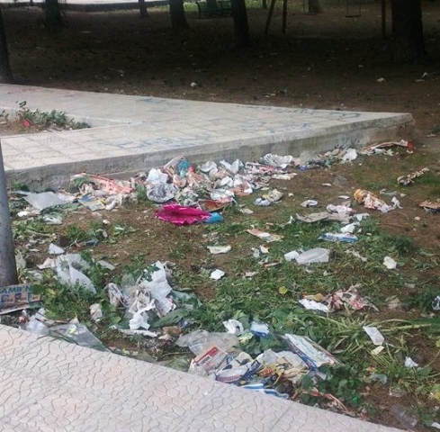 Il presidente Bruno: "Verde pubblico abbandonato", l'ass.Coppa interviene