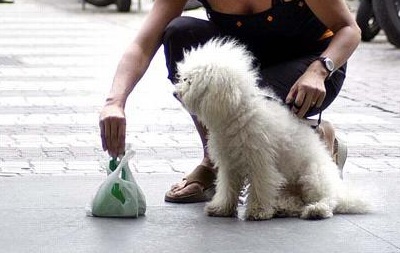 Cinque consiglieri denunciano: "Città piena di deiezioni canine"