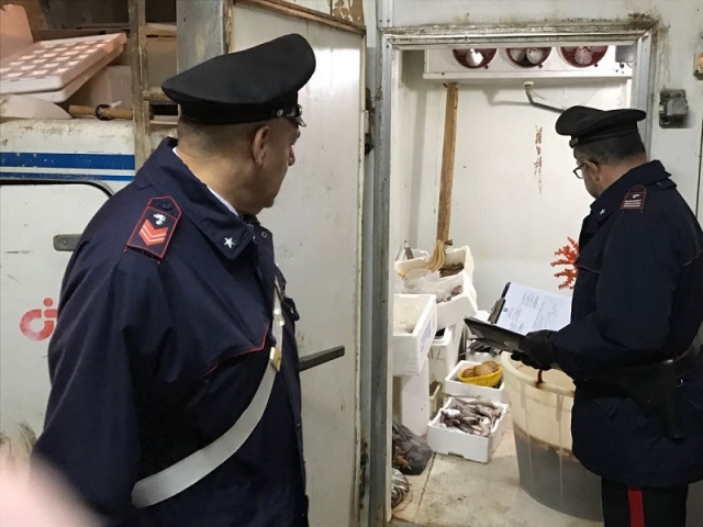 Siracusa, sequestrati 500 chili di gamberetti privi di tracciabilità