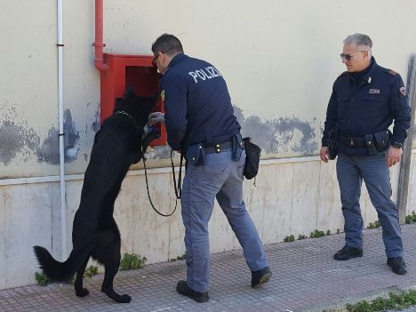Siracusa, controlli antidroga nelle scuole superiori: trovati 11 grammi di marijuana