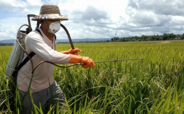 Pachino, al via i corsi per i Patentini fitosanitari