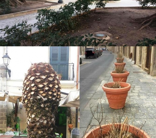 I consiglieri Grienti e Gibilisco: "Sul verde pubblico siamo a quota zero"