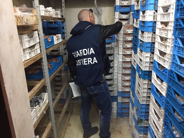 Portopalo, sequestrate oltre 2 tonnellate di prodotto ittico