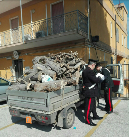 Siracusa, hanno rubato 8 quintali di legna: arrestati