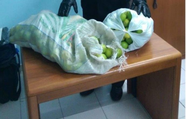 Siracusa, denunciato un 27enne per furto di agrumi