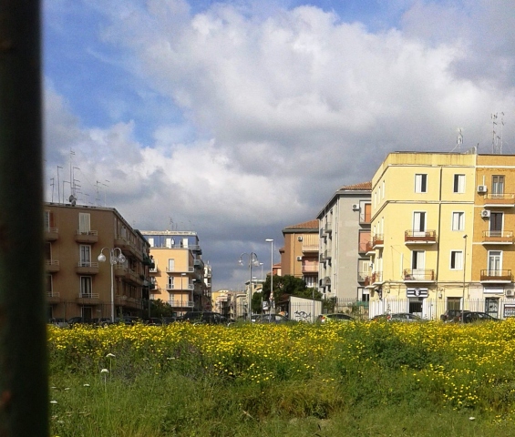 Siracusa, Alternativa Libera: "Pulizia siti archeologici scriveremo a Regione"