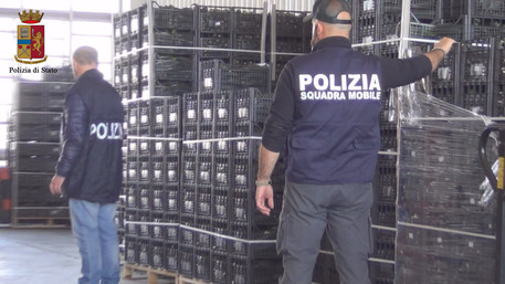 Vittoria, sequestrate 8 tonnellate di ortaggi al mercato ortofrutticolo