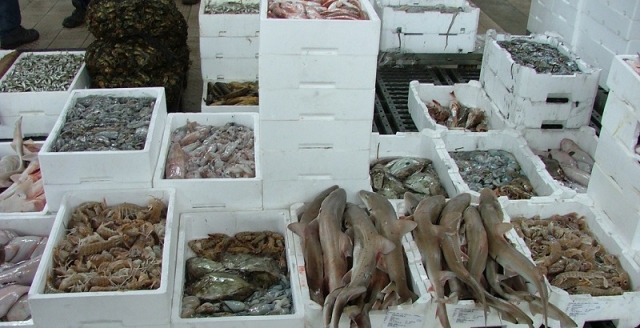 Augusta, sequestrati 35 chili di pesce