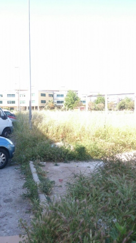 Siracusa, Paolo Bruno: "Verde pubblico devastato al quartiere Akradina"