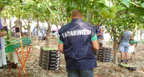 Noto, lavoro nero e sfruttamento: nel mirino azienda agricola