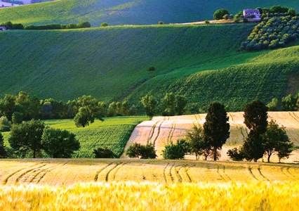 Fatturato biologico, Siracusa prima tra gli ultimi