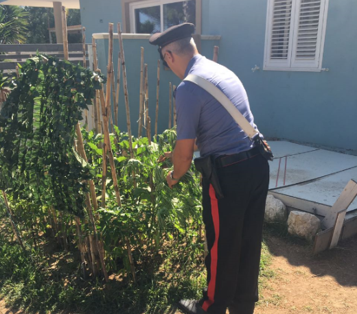Cassibile, coltivava canapa indiana in casa: scoperto e arrestato