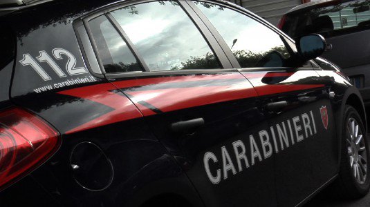 Scoperto traffico di droga e furti di bestiame tra Sicilia e Calabria