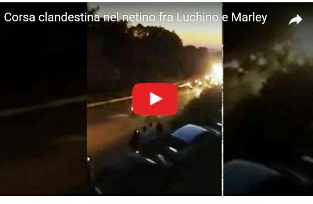 Nel Netino, lo scandalo delle corse clandestine dei cavalli sulla Maremonti. VIDEO