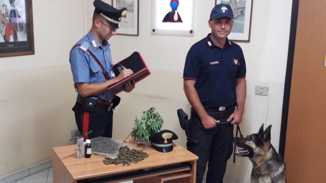 Priolo Gargallo, detenzione di marijuana: due arresti