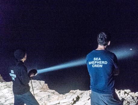 Conclusa l'Operazione Siracusa di Sea Shepherd: 31 interventi