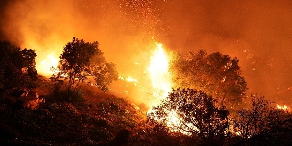 Fondo per il ristoro dei danni causati da incendi, presentato ddl