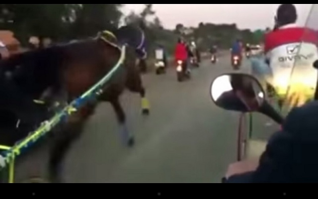 Corse clandestine nel Netino, 2 denunciati