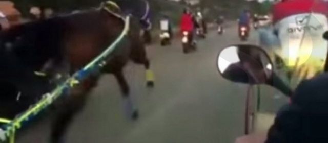 Noto, corse clandestine di cavalli: altri 5 segnalati