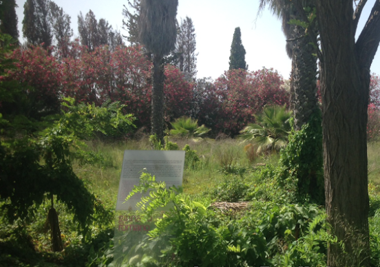 Siracusa, Ginnasio Romano chiuso e abbandonato a se stesso