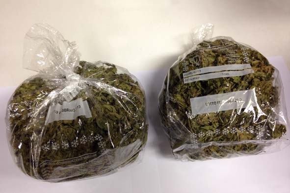 Siracusa, aveva in casa 5,2 chili di marijuana