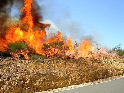 Siracusa, arrestato piromane: sorpreso in flagrante dalla Polizia