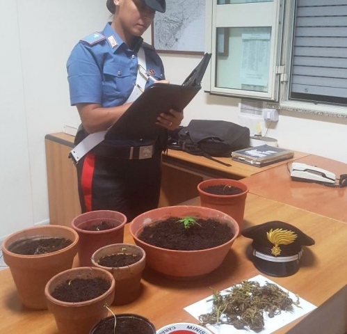Siracusa, piantava marijuana in un casolare: ai domiciliari