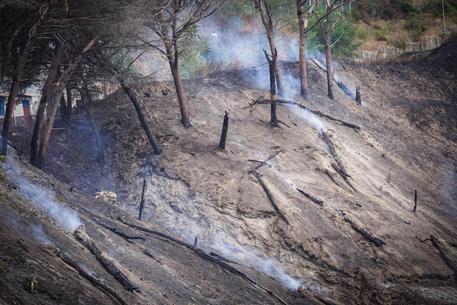 Nell'Ennese, piromane arrestato dopo inseguimento