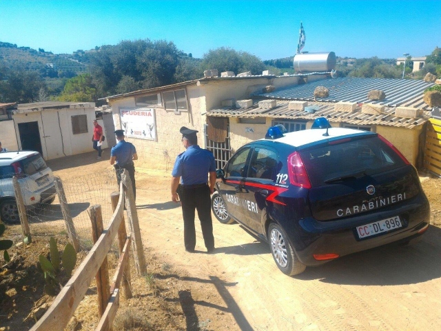 Noto, corse clandestina cavalli: trovati i farmaci utilizzati per dopare gli animali