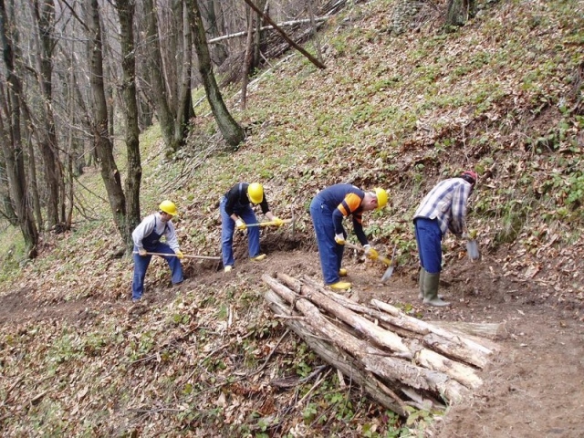Siracusa, sbloccati fondi per stipendi forestali