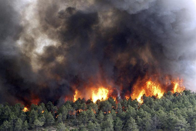 Incendi a Messina, comune a lavoro per stima dei danni