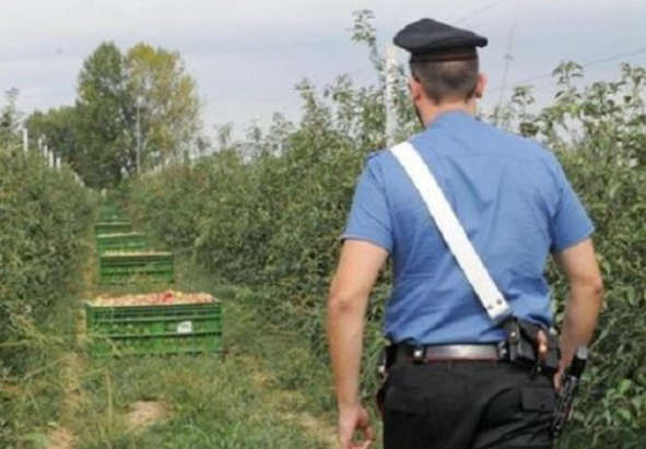 Siracusa, lavoro nero: un'azienda sospesa e sanzioni per 51.000 euro