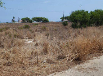 Siracusa, Plemmirio: ripulita strada che porta al faro