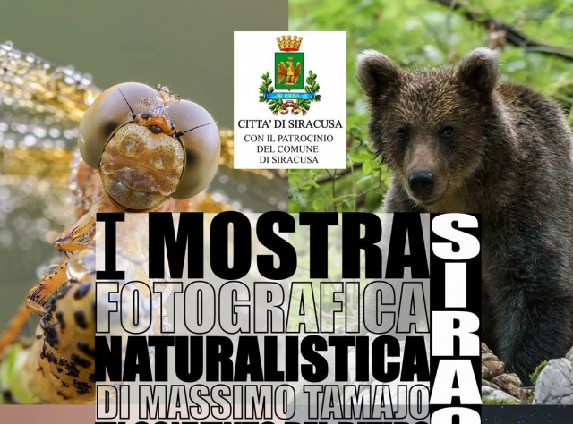 A Siracusa la Mostra Fotografica Naturalistica a firma di Massimo Tamajo