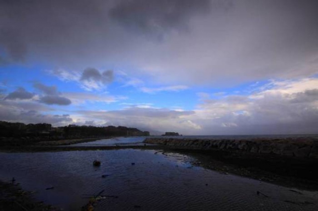 Nubifragio a Palermo, allagamenti e alberi divelti