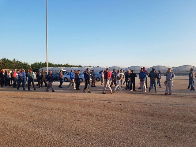 Siracusa, stato di agitazione dei lavoratori dell'azienda agricola Giardina