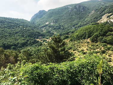 Siracusa, imboschimento: protocollata richiesta per partecipare bando regionale